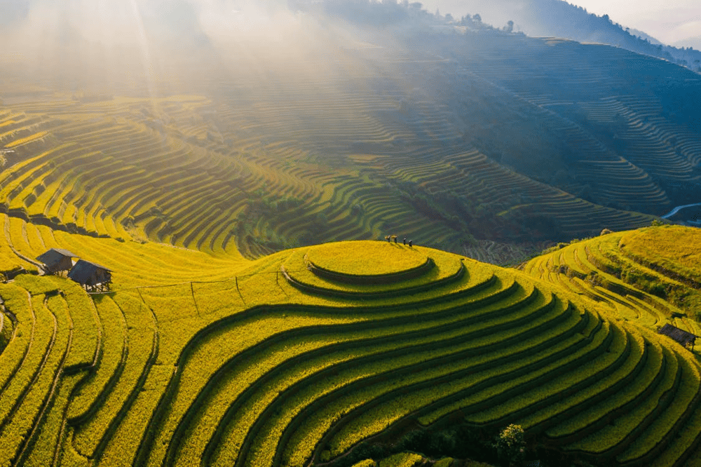 Northern Vietnam experiences cool weather in November, creating ideal conditions for outdoor exploration (Source: Pexels)